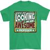 Youre Looking at an Awesome Professor Unisexs TShirt 100 Cotton