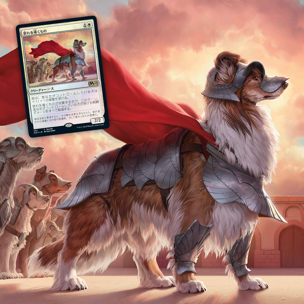 Набор базового выпуска The Gathering 2021, японская версия, MTG, коллекционная карточная игра, Wizards of the Coast, Magic (М21)