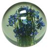HafodGrange Flower HG18S Paperweight, Small, Forget-me-not,