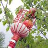 Deep Basket Fruit Picker Head Convenient Fruit Picker Catcher Apple Peach Picking Farm Garden Picking Device Garden Tools