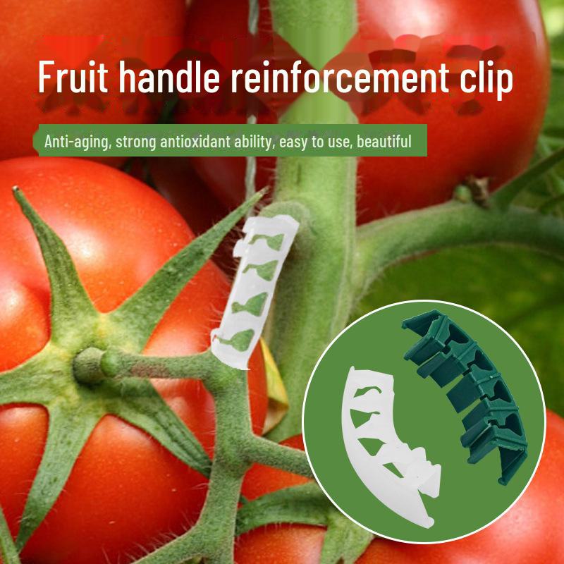 Клипсы для поддержки томатных растений: Зажим-шип, препятствующий изгибу, для укрепления саженцев и веток