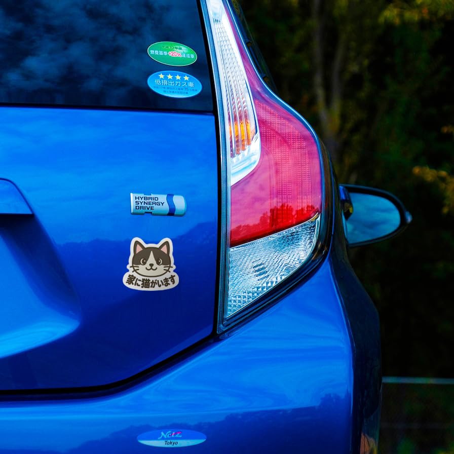 Колибри Кот Кот Кот Дома Магнитная наклейка Погодоустойчивая Устойчивая 3,5 дюйма (9 см)