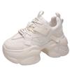 Fashion Thick Sole Women Breathable Mesh Sneakers 2024 Autumn Women High Platform Outdoor Sport Sneakers Trainers 9.5CM Chunky Dad Shoes