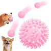 Dog Chew Toys for Cleaning Teeth Pink Soft Rubber Bone Funny Ball Interactive Donut Treat Set for Small Medium Dogs Pet Gifts