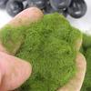 Material Garden Artificial Moss DIY Accessories Micro Landscape Decoration Artificial Grass Powder