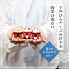 Osaka Choseido Набор «Ворота Тории и Амулет с предсказанием для животных» Керамический Сиба-ину Лиса Высота Включает бесплатную оригинальную деревянную бирку (25 штук) - - Манэки-нэко