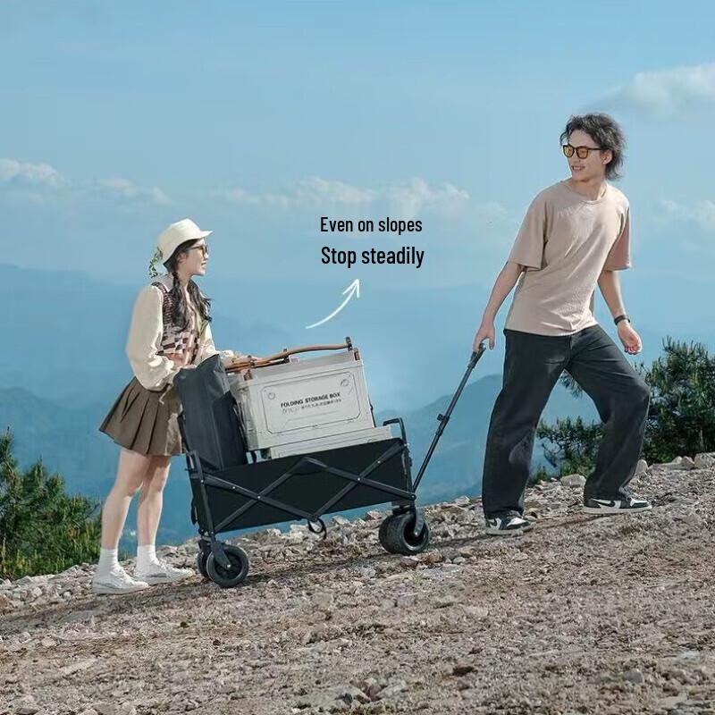 FTLY 150L Electric Camping Wagon with 8-inch Off-Road Wheels and Dual Brakes