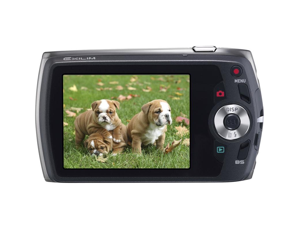 Casio Цифровая камера EXILIM Silver EX-Z370SR