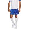 Nike FFF 2024 Стадион Выездные Футбольные Штаны Мужские Ярко-синие FJ4294-452