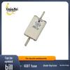 170M4142/43/44 Low Voltage Fast-Acting Fuses Available - Full Range in Stock