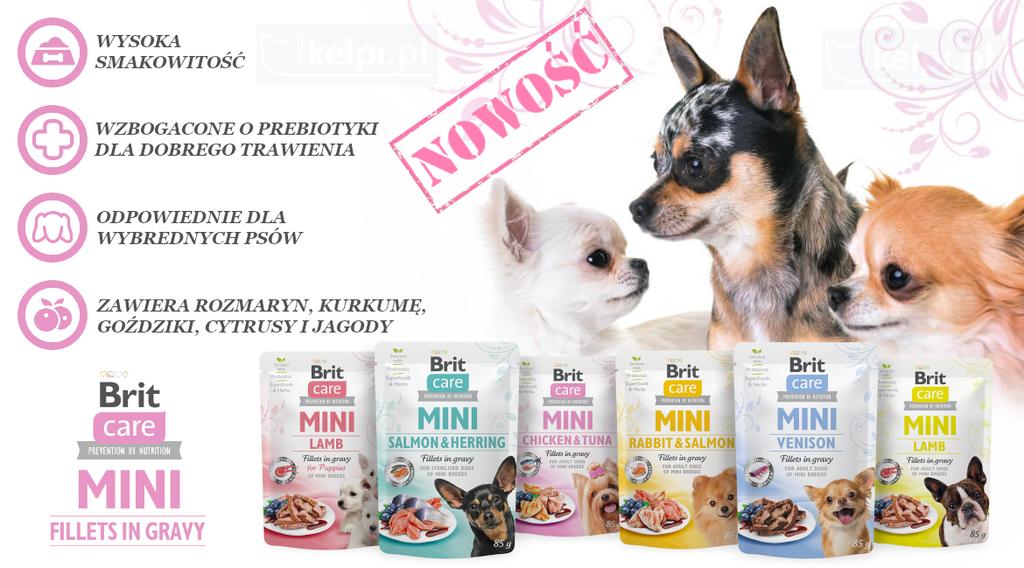 Brit Care Dog Mini Pouch Wet Food For Puppies Lamb Fillets In Gravy For Puppies 85G
