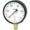 Nagano Standard Pressure Gauge (A-frame, Vertical, 100, G3/8B, 0.0 To 1.00 MPa) AE20-131-1.0MP