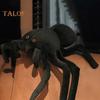 TALOS плюшевая игрушка декоративная забавная ПП хлопок черный паук мягкая кукла орнамент