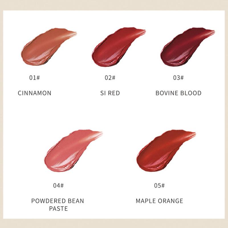 Мини-капсульная помада, набор в подарочной упаковке, 5 шт., нелегко обесцвечивать матовый матовый блеск для губ GYY