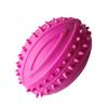 Dog Rugby Ball Toy Bite Resistant Teeth Grinding TPR Interactive Dog Chewing Toy for Small Dogs