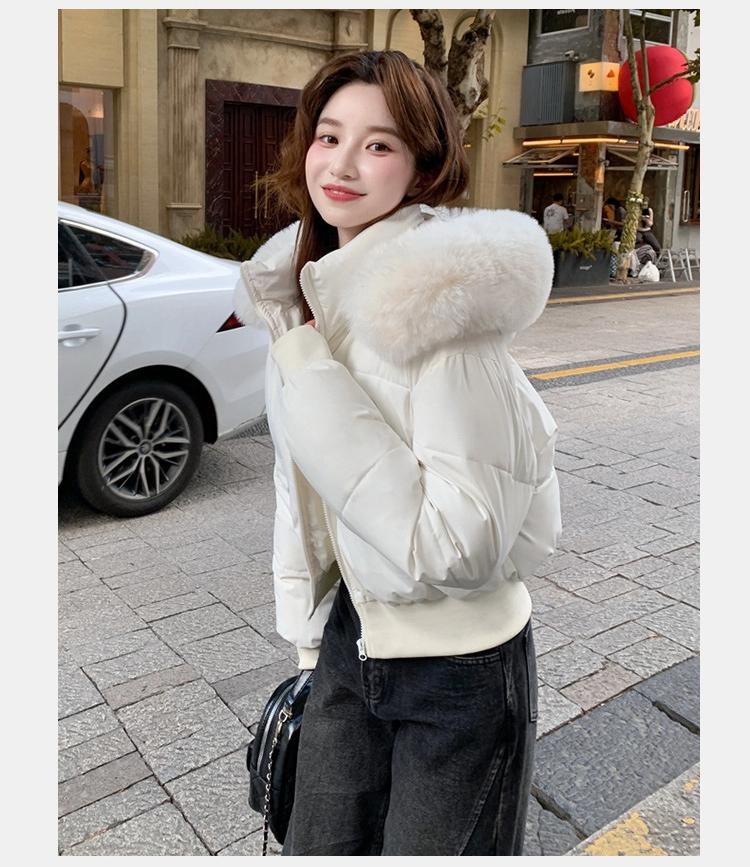 Women's Short Large Fur Collar Hooded Warm Cotton-padded Jacket