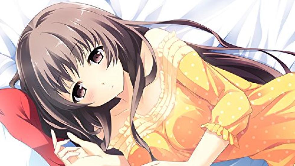 Spread Your Wings In This Vast Sky CRUISE SIGN Regular Version PS Vita -