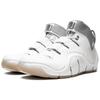 Nike LeBron 4 White Chrome 314647-112