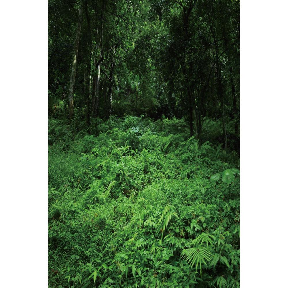 Spring Natural Scenery Forest Photography Backdrop Tropical Jungle Green Forest Tree Adventure Baby Portrait Photo Background