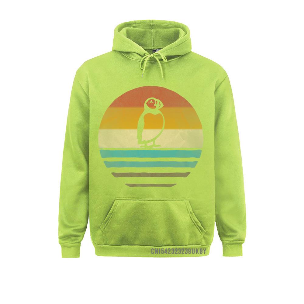 Толстовки с капюшоном в стиле ретро, ​​винтажные толстовки унисекс с закатом, тупиком, птицей, морской птицей, милые, забавные, премиум-класса, толстовки унисекс с длинными рукавами, обычный райф