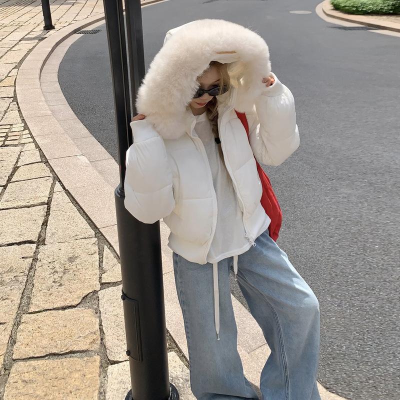 Hooded big fur collar down cotton clothes women's winter new thickened short cotton-padded clothes bread clothes jacket