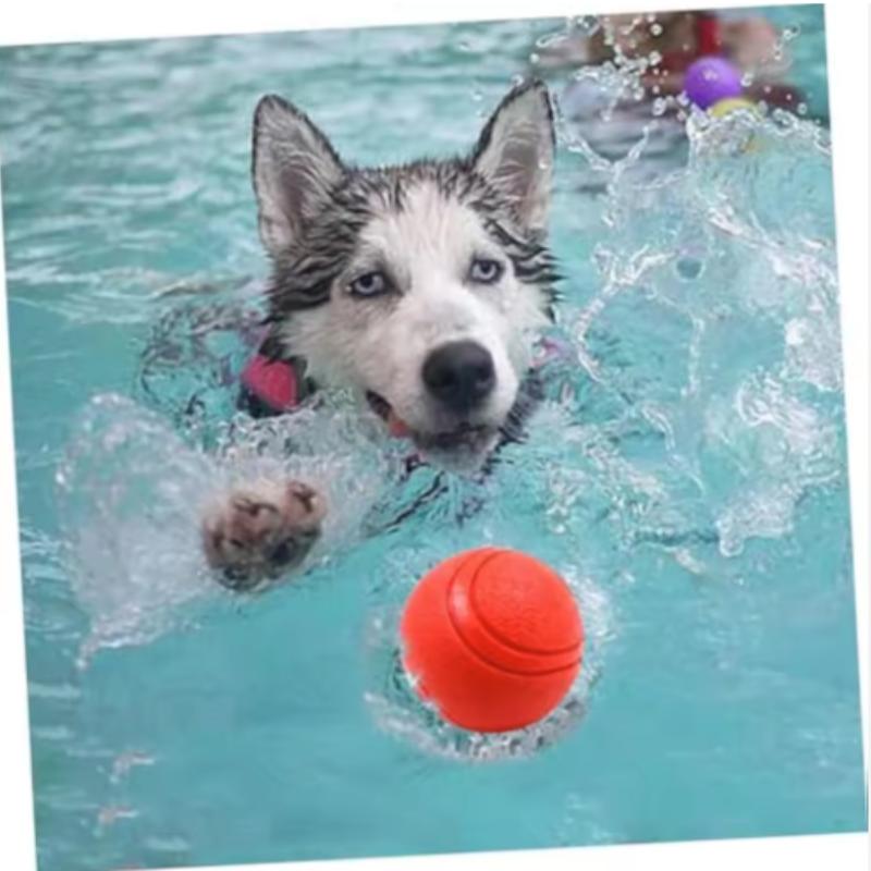 Dog Toy Rubber Ball Bite-resistant Ball Toy for Dogs Puppy Teddy Pitbull Red Color Solid Ball S-XL Pet Supplies