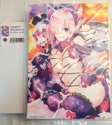 FGO Зимний Фестиваль Заказ Холст Арт Мэш Кириелайт Опасный Зверь Fate/Grand Fate/GO