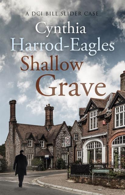 Книга Shallow Grave : A Bill Slider Mystery (7)