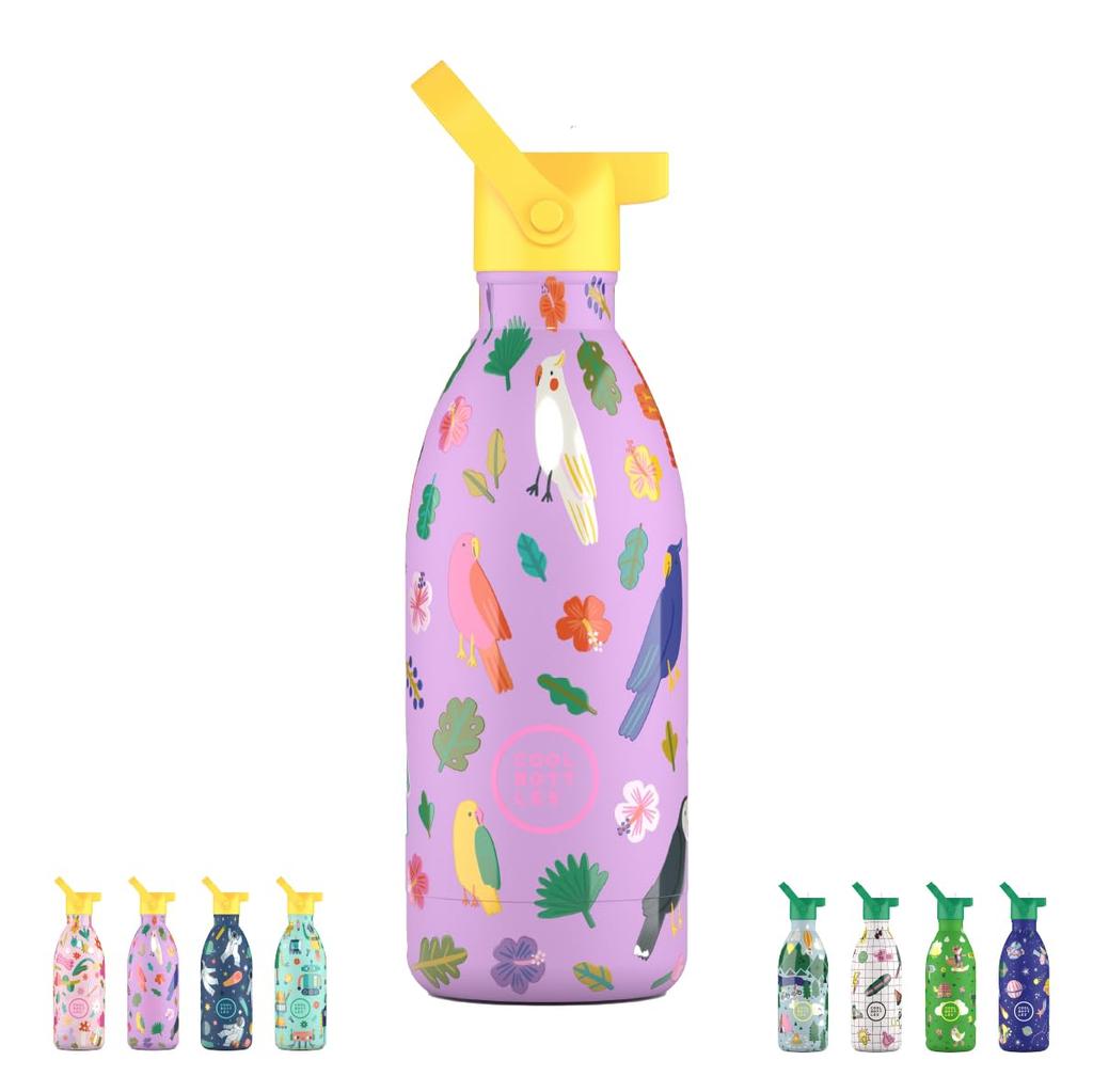 CoolBottles Stainless Steel Water Insulated Bottle, 2-Way (CBBK50FF), Bird/Parrot Design, 500ml, Fly-Free (CBBK50FF)