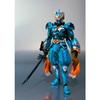 SHFiguarts Kamen Rider W Nazca Dopant Approx. Фигурка 140 мм из АБС и ПВХ (Эксклюзив Tamashii Web)
