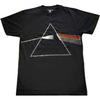 Футболка Pink Floyd Dark Side of The Moon(3)