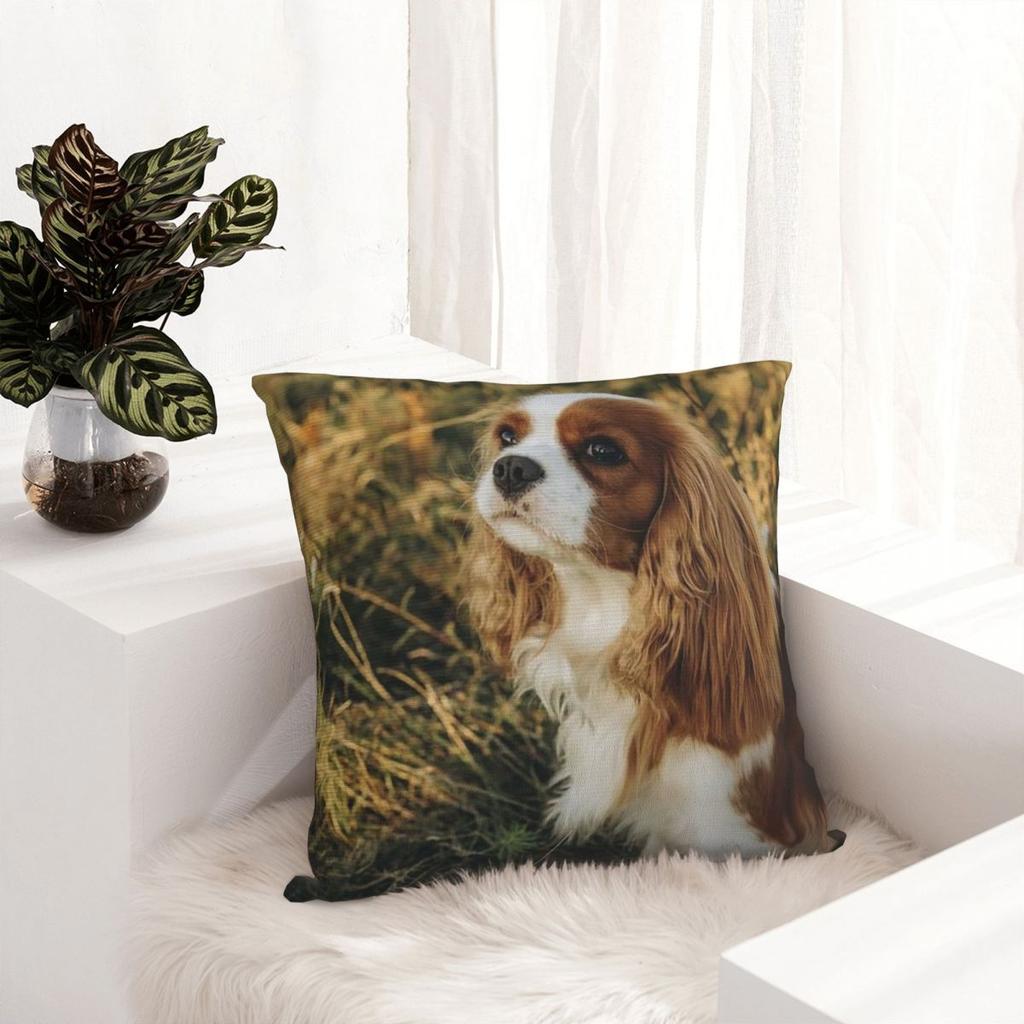 Custom Cavalier King Charles Spaniel Square Pillowcase Cushion Comfort Throw Pillow Sofa Cushions Used for Home Bedroom