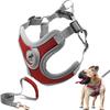 SAEGYPET Dog Harness with Lead No Pull Dog Collar Harness with Padded Vest Harness for Training and Running Small Medium Large Dogs Set, (Red, M)