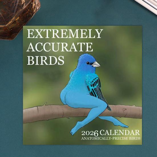 Настенный календарь на 2026 год, забавные птицы, настенный календарь, январь. на декабрь 2026 12-месячный планер оригинальный рождественский подарок-прикол подарок для взрослого