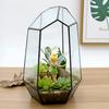 Retro Geometric Glass Dome Greenhouse: Creative Micro Landscape Decorative Vase for Home and Coffee Shop.