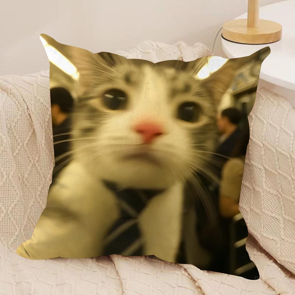 dogs cats cute funny gift Cushion Cover Silky Short Plush Invisible Zipper Dustproof Sofa Pillow Case for Home Decor
