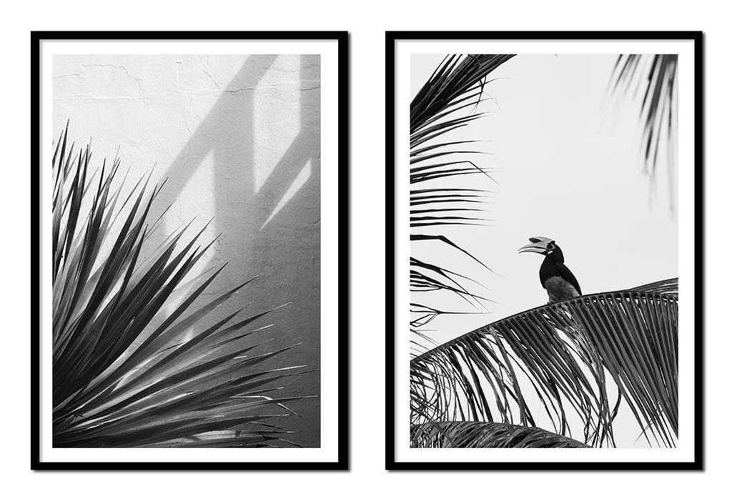 Picture posters In a frame 53x73cm Diptych Set of 2 pictures Tropics Grey P2136
