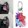 Anatomical Heart Keychain Pendant Educational Keyrings Accessory for Medical Students and Healthcare Professionals