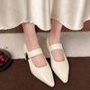 Fashion Retro Elegant Casual Mary Jane Women's Shoes 2025 Spring New Point Head Coarse Heel Shallow Mouth Pumps Comfortable Single Shoes