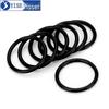 Rubber O-Ring Seal Kit, 100 Pieces