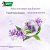 Darlie Tea Tree Fresh Toothpaste, Longjing Thyme, 4x140g Pack