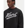 Худи Karl Kani Varsity Palm