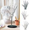 Simulation Hand Joint Finger Manikin Hand Articulated Hand For Displaying Hand Model  Art Painting