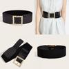 Wide Elastic Waist Belt With Decorative Metal Buckle Ladies Dress Fashion Winter