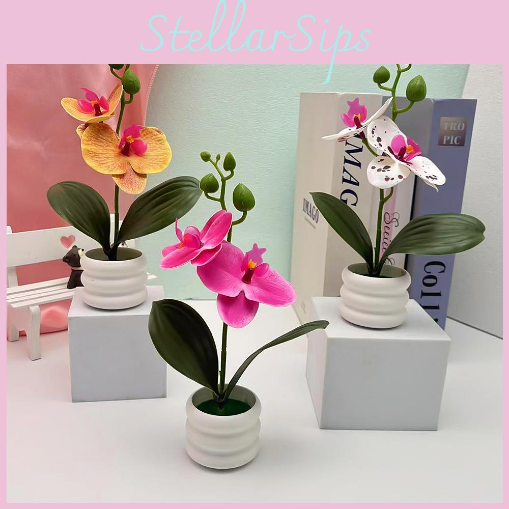 Flower Phalaenopsis Potted For Event Decor And Indoor Home Embellishment