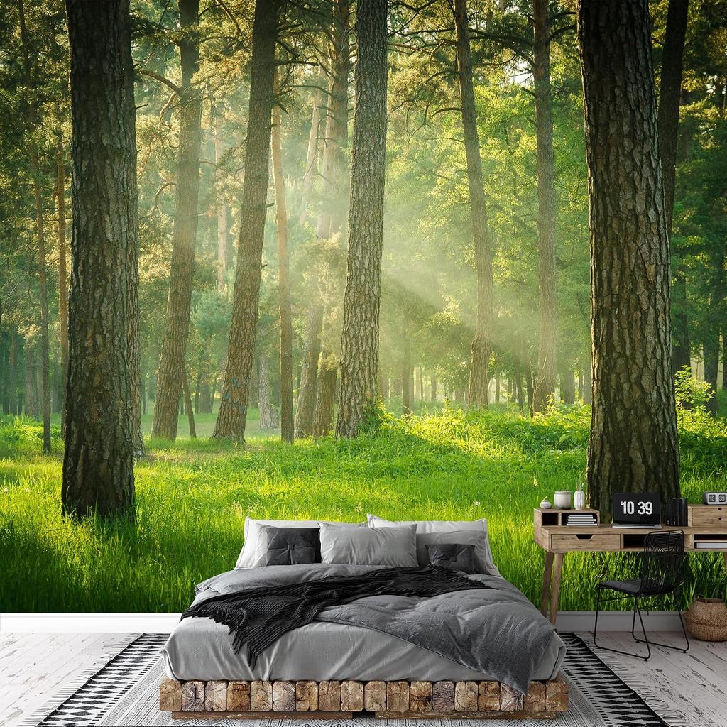 Forest Landscape Wallpaper Living Room Bedroom Natural Scenery Forest Mural