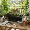 Thicken Seedling Tray Self Watering Plant Nursery Pot Germination Tray  Vegetable Gardening