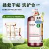 400ml Ginger Wash and Care Comes with 3 randomly distributed Wash and Care Mouths [5 efficacy options to choose from]