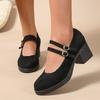 Spring and Autumn Retro Small Leather Shoes Fashionable Suede One-line Buckle Strap Thick-heeled Women's Shoes