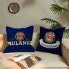 German Beer Paulaner Personalized Pillow Cover Kids Bedroom Wild Party Decor Pillowcase Kid Birthday Shower Gift